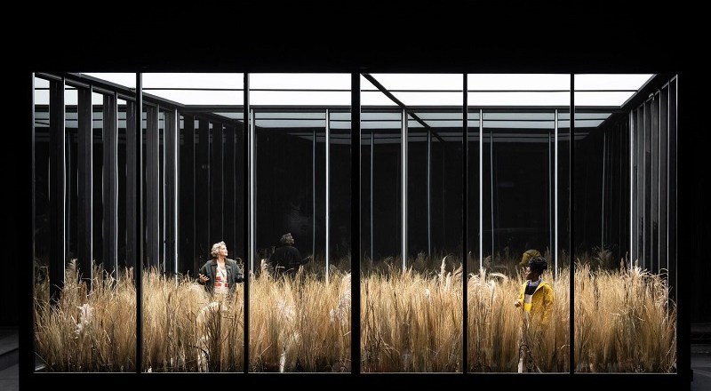 Phaedra – The National Theatre