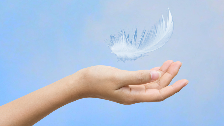 Little White Feathers – Hope Street Theatre